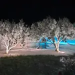 Nikica